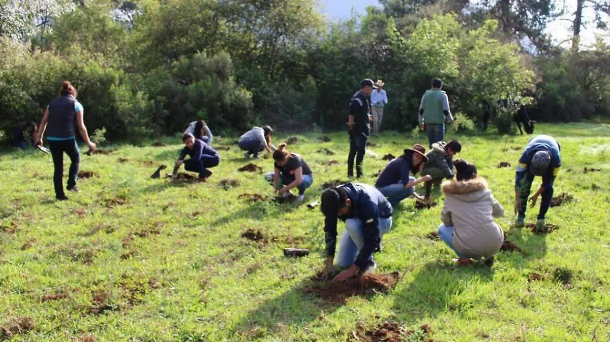 reforestación UAEM